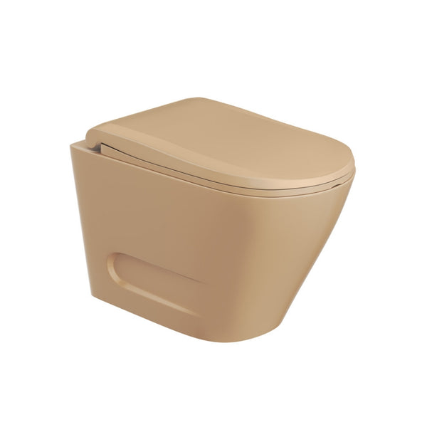 Rimless Blind Installation Wall Hung WC OPS-WHT-15953BIUFPM