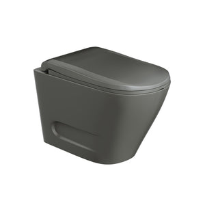 Rimless Blind Installation Wall Hung WC OPS-WHT-15953BIUFPM