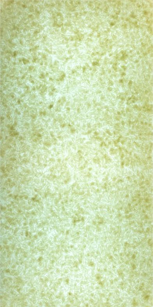 Lucento 10407
