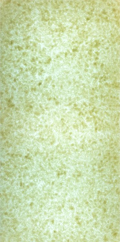 Lucento 10407