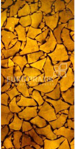 Lucento 10505
