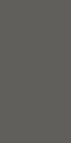 Calplus Parish Grey Design 20009 | 0.8