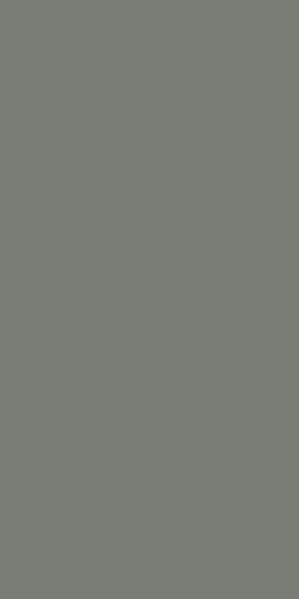 Merino 21369 PLMB