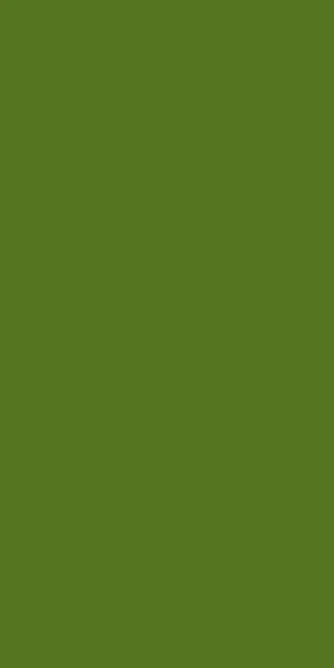 Calplus Lawn Green Design 21403 | 0.8
