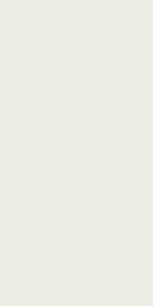 Calplus Vanilla White Design 22291 | 0.8