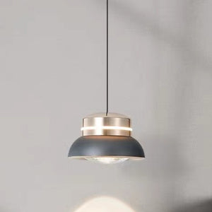 CL-334-1GY SINGLE HANGING