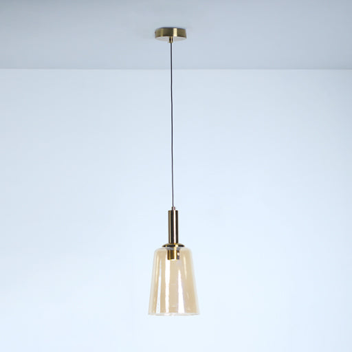 SINGLE HANGING LIGHT 66891-1