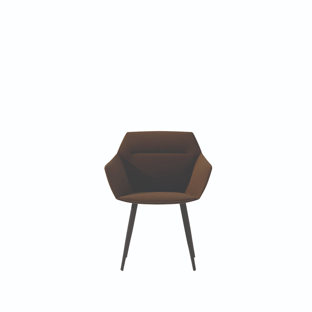 Axis Chair (low back) - EC02