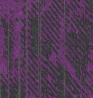 Eggplant