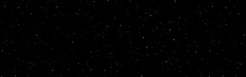 Perna Black