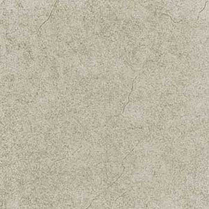 Desert Grey Glazed Vitrified Tiles
