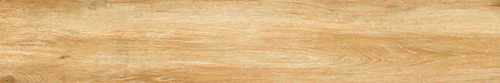 Timber Oak