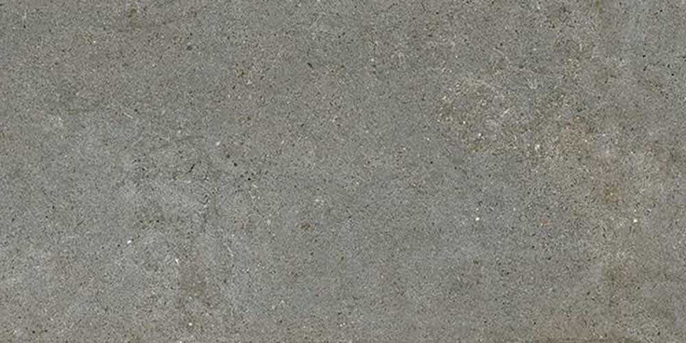 Privledge Gris