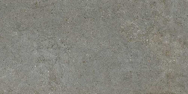 Privledge Gris