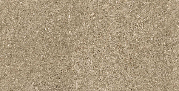 Beech Bronze Glazed Vitrified Tiles