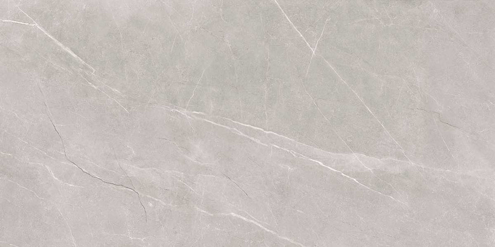 Pavit Grey Glazed Vitrified Tiles
