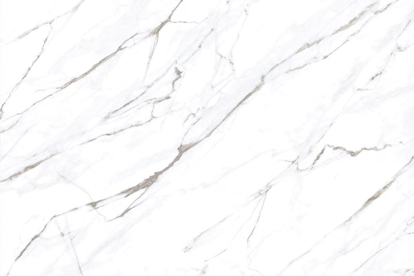 Carrara White Glazed Vitrified Tiles