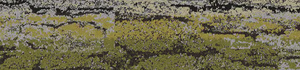 Biosphere Water Inspired Colourline
