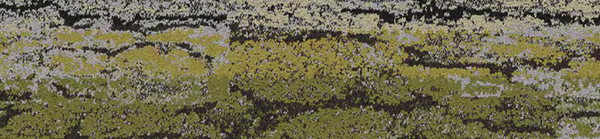Biosphere Water Inspired Colourline