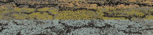 Biosphere Land Inspired Colourline