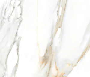 Borghini