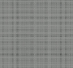 Roller Blinds | Screen Classic 5%