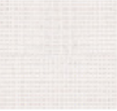 Roller Blinds | Screen Mellow