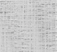Roller Blinds | Celestial Translucent 4%