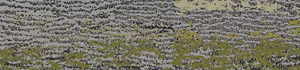 Biosphere Water Inspired Colourline