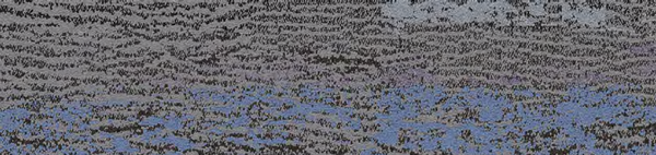 Biosphere Sky Inspired Colourline