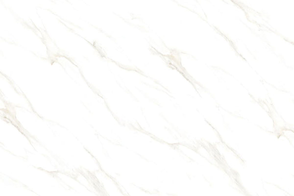 Carrara White Glazed Vitrified Tiles