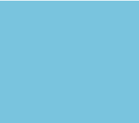 WOODTECH | BLUES