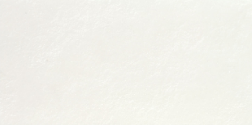 TERRAZZO WHITE CEMENTO (GLP) | FULLBODY