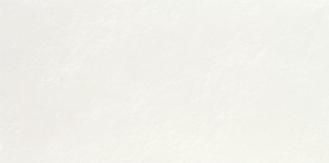 TERRAZZO WHITE CEMENTO (GLP) | FULLBODY