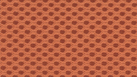 FOAM MESH