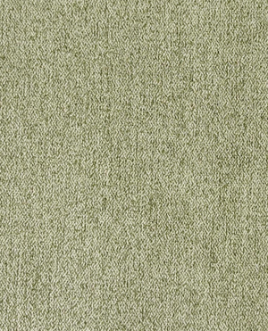 SERENE | BASIL
