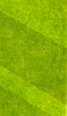Inlay Acoustic Panel