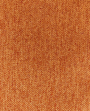 SPLENDID | ANISE