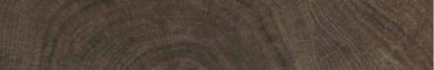 X-WOOD WENGE | WOOD