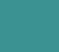 WOODTECH | BLUES