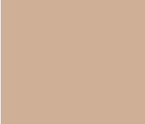 WOODTECH | BROWNS