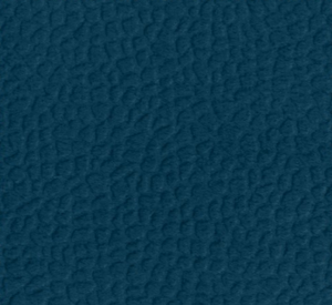 VOLGA