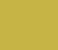 WOODTECH | YELLOWS