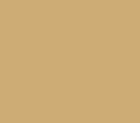 WOODTECH | YELLOWS
