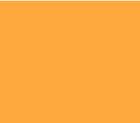 WOODTECH | YELLOWS