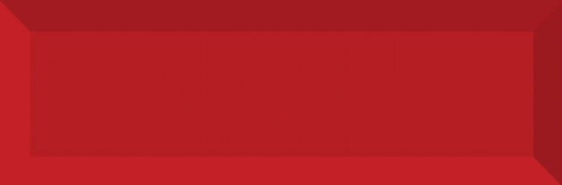 CERAMICS WALL TILE BLOOD RED