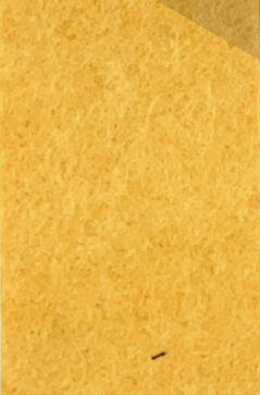 Acoustic Pattern Panel
