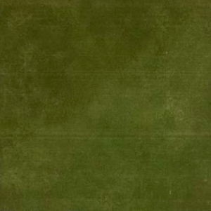 LUCIDO BASE MOSS GREEN 80402