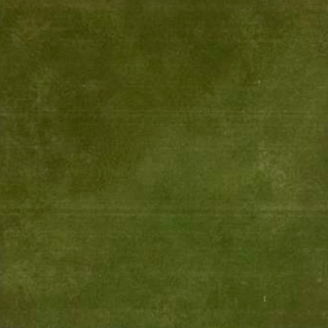 LUCIDO BASE MOSS GREEN 80402