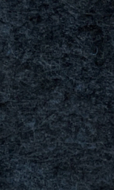 Inlay Acoustic Panel